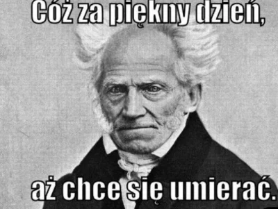 Graner - @Increev #gownowpis #schopenhauer