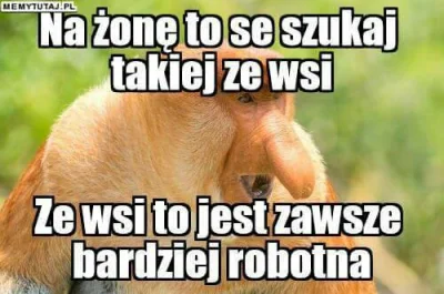 fan_comy - #polak #humorobrazkowy