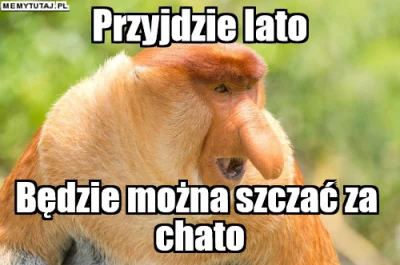 PawelW124 - #humor #heheszki #polak #nosaczsundajski #nosacz #memy #pasjonaciubogiego...