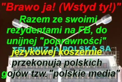 WolnyLechita - A czy tzw. "Rada Języka Polskiego" w Polin jest aby koszerna? ( ͡° ʖ̯ ...