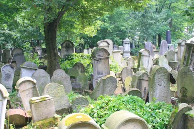 dymek_ - @mannoroth: takich cmentarzy jest w całej Polsce wiele. To z Tarnowa, gdzie ...