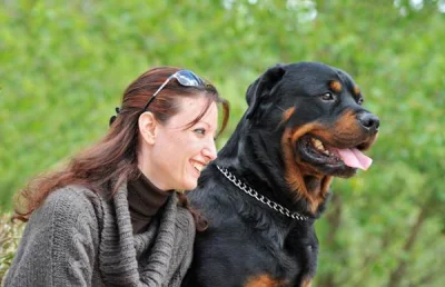 l.....w - #psy #zwierzaczki #rottweiler #oswiadczenie
Przepiękna rasa. Nie mogę się d...