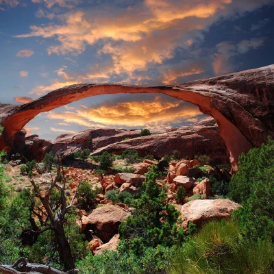 n.....r - > Devil's Garden - Arches National Park in Utah

#earthporn #utah