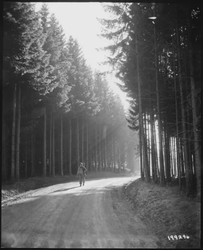 angelo_sodano - Szeregowy US Army wraca z linii frontu, okolice Bastogne, Belgia, 27 ...