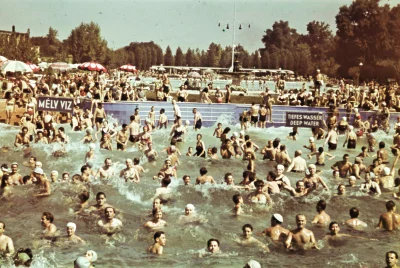 myrmekochoria - Europejczycy (napisy w różnych językach) na basenie w Węgrzech zaraz ...