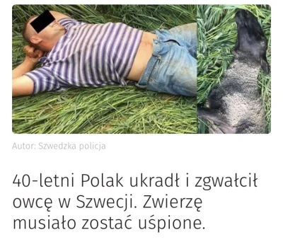 mozdzierzwszechruska - Ach ci imigranci ¯\(ツ)_/¯
#szwecja #imigranci 

Źródło:
https:...