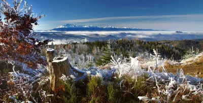 d.....s - Cudze chwalimy



#sadecczyzna #polska #fotografia #tatry