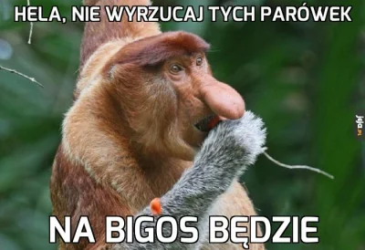 lubie-bigos - #gownowpis #wykop #heheszki #bojowkabigos