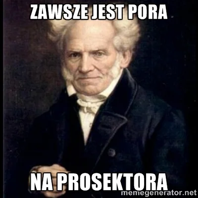 nnn - #schopenhauer #koral