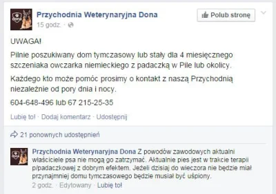 pogop - UWAGA!

Pilnie poszukiwany dom tymczasowy lub stały dla 4 miesięcznego szczen...