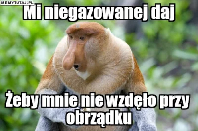 PawelW124 - #humor #heheszki #polak #nosaczsundajski #nosacz
