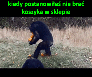 ZebrowatyJG - Jakbym siebie widział (⌐ ͡■ ͜ʖ ͡■)

#heheszki #logikaniebieskichpasko...