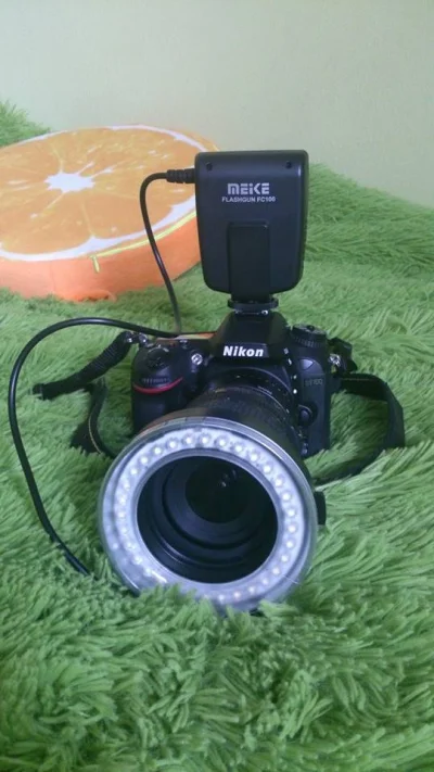 biuna - #zdjeciabybiuna #fotografia
Czas na test nowej zabawki do makro fotografii. ...