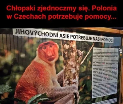 SomeoneFromPoland - #heheszki #humorobrazkowy #polactwo #polskazagranico #memecompany...