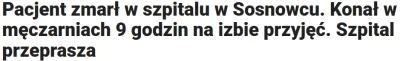bolo1 - Witam, czy ma ktoś dane dotyczące liczby Polaków, którzy zginęli wskutek kata...