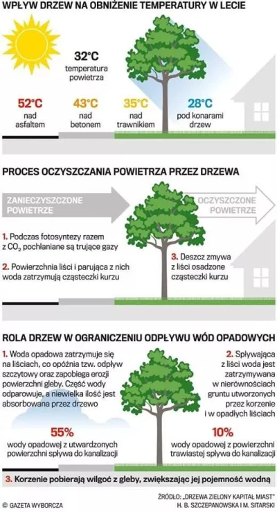 spere - #dzewo #przyroda #polska #drzewa ##!$%@?