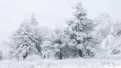 michalind - Polska cała tylko biała!

#wroclaw #snieg #zima ##!$%@?