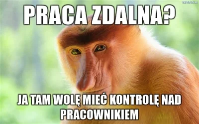 cezarysek - #polak #humorinformatykow #januszebiznesu