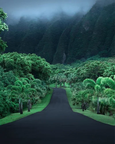 Zdejm_Kapelusz - Góry Koolau, Hawaje.

#earthporn