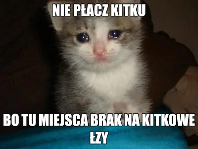 vondanzig - #kitku #humorobrazkowy #heheszki #koty #codziennekitku