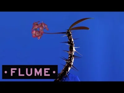 kurtyzany - #muzyka #muzykaelektroniczna 
Flume - Hyperreal feat. Kučka