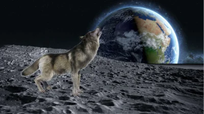 w.....z - #ciezkarozkmina 
What Would Happen If A Werewolf Landed On The Moon?

ht...