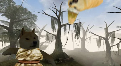 uwuX - Zobaczmy jak wyszedł mi ten nowy zwój dalekiego skoku. O TRÓJCO O K--W-
#morr...