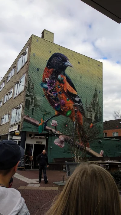 Shadgre - #mural #streetart #holandia