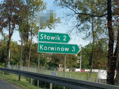 Fasol88 - Słowików dwóch, a Korwinów trzech. #ocieplaniewizerunkukorwinakrula #korwin...