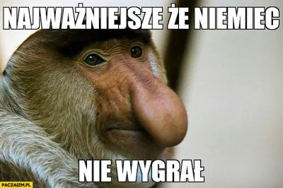 wfyokyga - Jutro znowu ajzenbiśla nie wygra. Nic tak nie cieszy jak ból dupy niemaszk...