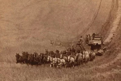 Rosenzweig - Kombajn zbożowy ciągnięty przez 33 konie, 1902 rok.

 Pierwsze kombajny...
