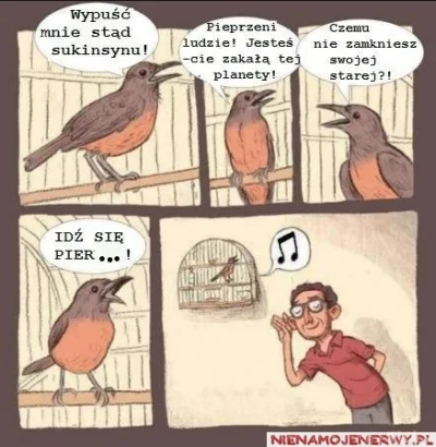 k.....a - @sabr1na22: A nam się wydaje, że ptaszki tak ładnie śpiewają...( ͡° ͜ʖ ͡°)