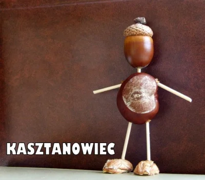 Klofta - Polskie #LEGO z przełomu lat 80 i 90. Kasztanowiec #gimbynieznajo 
#heheszki...