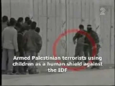 wpt1 - @KolejnyWykopowyJanusz: "heroizmowi" palestyńców nic nie dorówna: