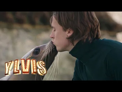 Wextor - #!$%@? mistrz :D #ylvis #muzyka