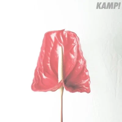 rownolegly - Kamp! - Kamp! | 2012 | Polska
Synthpop, Electropop
★★★★★★★★☆☆

No to...