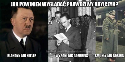 rozpierdalator - #humor #humorobrazkowy #heheszki #ocieplaniewizerunkuadolfahitlera