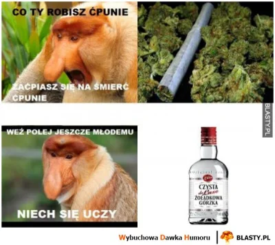 Janusz_Rekina - @op-timum: W dłuższej perspektywie codziennego spożywania alkoholu ni...