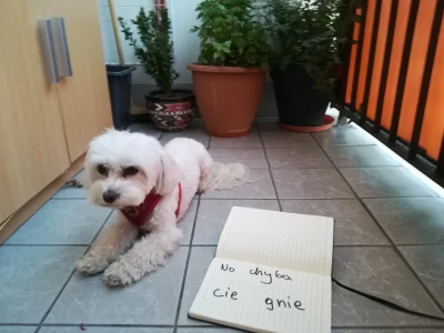 P.....k - @auCwSlorpoaSh5TGXogPfUDhO8s9EJ99ecW masz zgrywusie