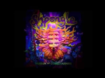 chripal - #muzyka Shpongle - Museum of Consciousness