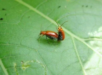 groundcontrol - #humorobrazkowy #heheszki #humor