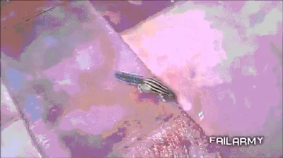 Git - #gif



SPOILER
SPOILER