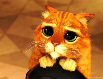 GoroncoMi - @Goodie_pl: Chyba nie odmówisz słodkiemu kotku? ( ͡° ʖ̯ ͡°)