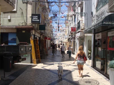 Bebuszek - #portugalia #wakacje #setubal #podroze #podrozeztraczem