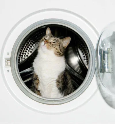 cabal512 - Żarcie albo niema prania ( ͡° ͜ʖ ͡°)

#koty #heheszki #pralka