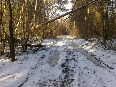 Norwag93 - @metaxy: gładkie gumy w crossie to i tak nie jest to co mam w szosie ;) Na...