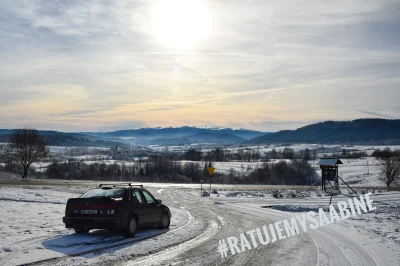 ratujemysaabine - Luty w naszym kalendarzu to zdjęcie z Lutowisk. Skuty lodem podjazd...