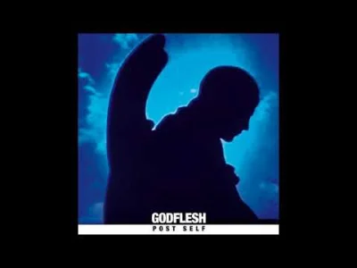 user48736353001 - Godflesh - Post Self (industrial metal, z LP: Post-Self)

Nie bez...