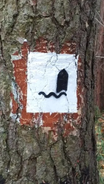 asdmjs - Mirki, czy wiecie co oznacza taki znak na drzewie? #kiciochpyta #znaki #topo...