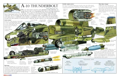 A.....1 - A10 Thunderbolt.

#ciekawostki #samoloty #aircraftboners #militaria